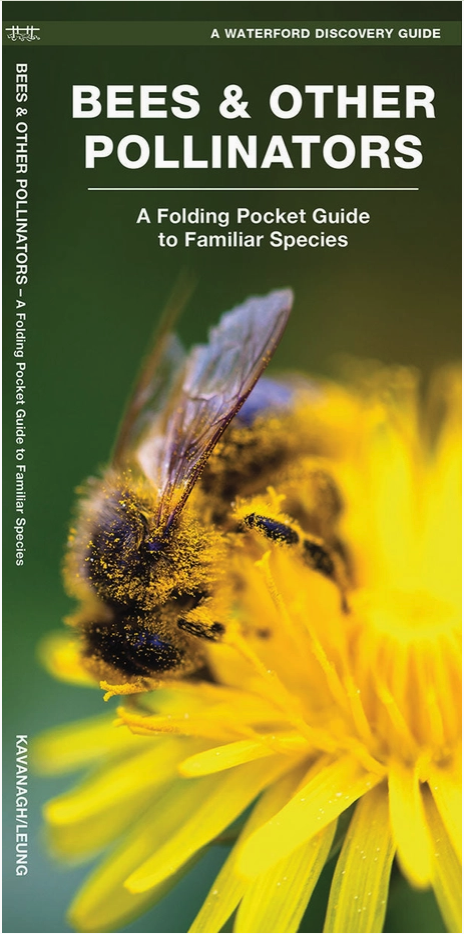 Butterfly Information Guides