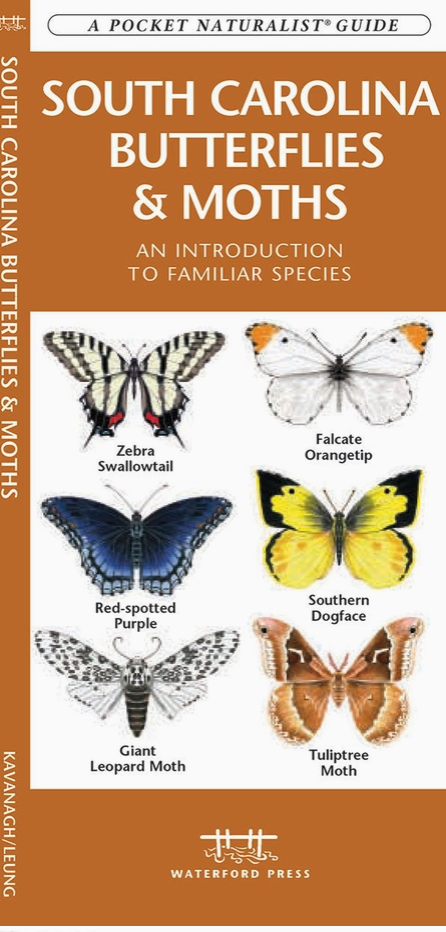 Butterfly Information Guides