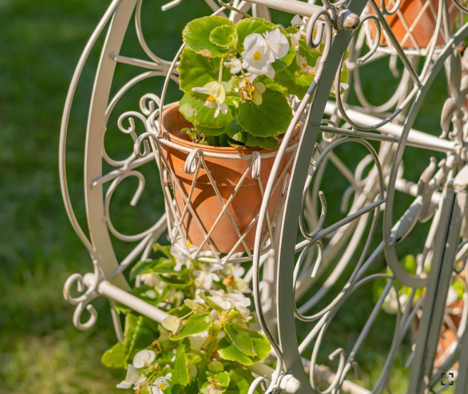 English Garden Ferris Wheel