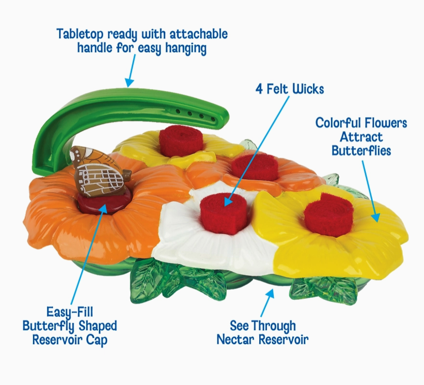 Children's Butterfly Feeder