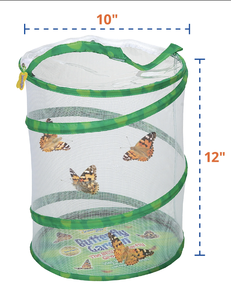Original Butterfly Garden Growing Kit with Voucher